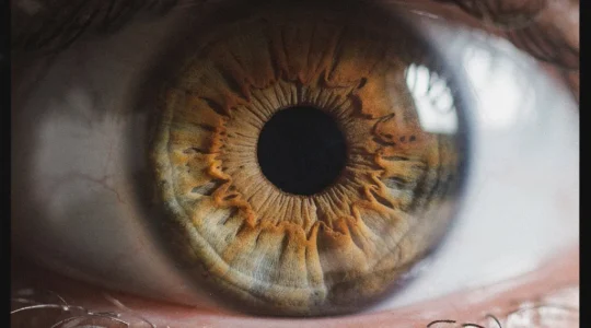 Gros plan artistique d'un iris humain révélant les subtiles variations de couleur et de texture utilisées en iridologie