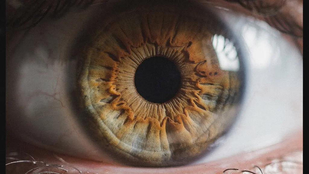 Gros plan artistique d'un iris humain révélant les subtiles variations de couleur et de texture utilisées en iridologie