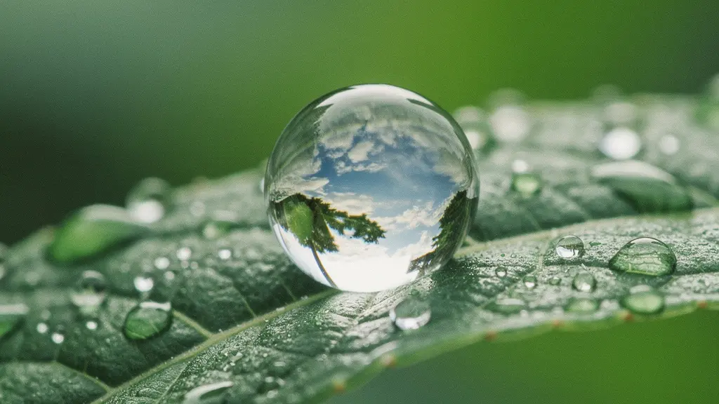 Vue macro d'une goutte d'eau sur une feuille reflétant un paysage